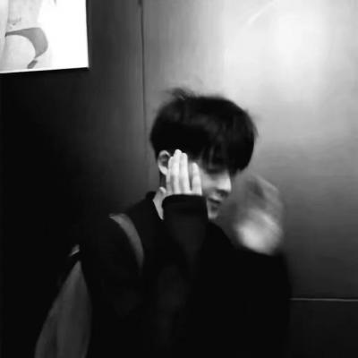 Furry插画氛围营造福瑞群